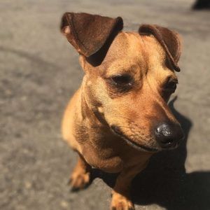 Meet your Posher, Austin